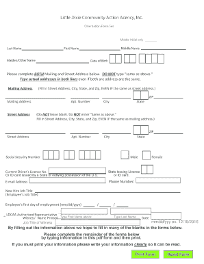 Form preview