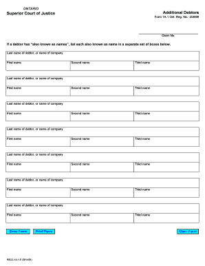 Ontario Superior Court Additional Debtors Form
