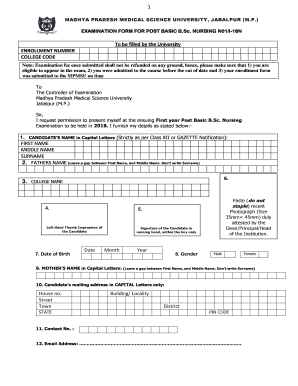 Form preview picture