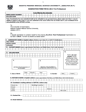 Form preview picture