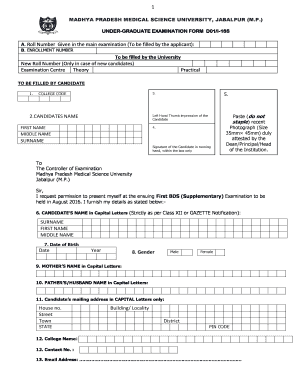 Form preview picture