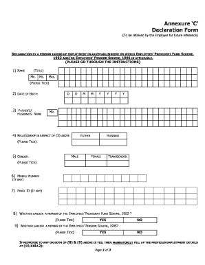 Form preview picture