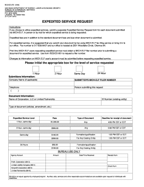 Form preview picture