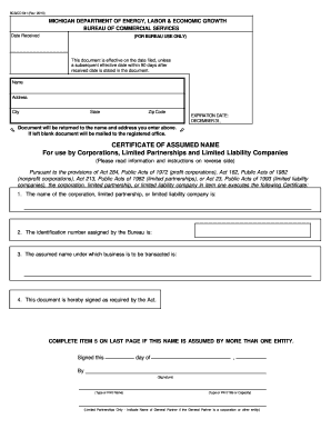 Form preview picture