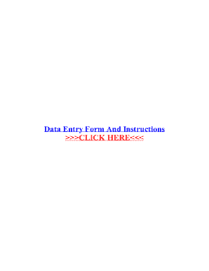 Fillable Online Data Entry Form And Instructions Fax Email Print ...
