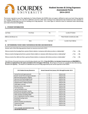 Student Income & Living Expenses Assessment Form