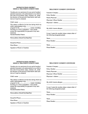 Medical Treatment Consent Form