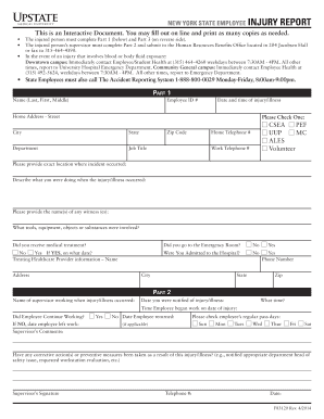 New York State Employee Injury Report