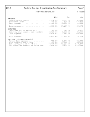 2012 Form 990 Tax Return