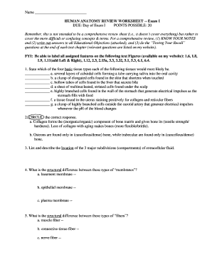 HUMAN ANATOMY REVIEW WORKSHEET -- Exam I DUE Day of Exam I - cameron