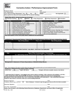 Corrective Action Performance Improvement Form