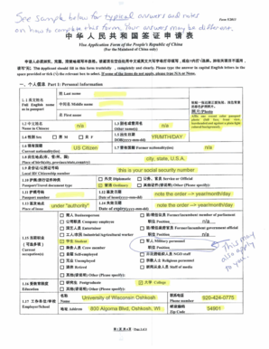 China Visa Application Form