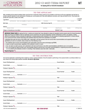 Mid-Term Report MT Form
