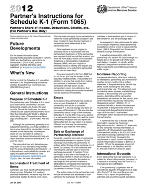 Partner's Share of Income Deductions Credits
