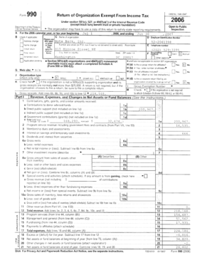 IRS Form 990 2006