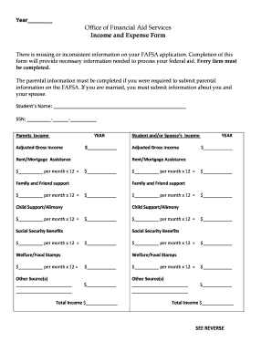 Income and Expense Form for FAFSA