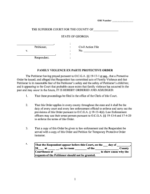 Georgia Family Violence Ex Parte Protective Order