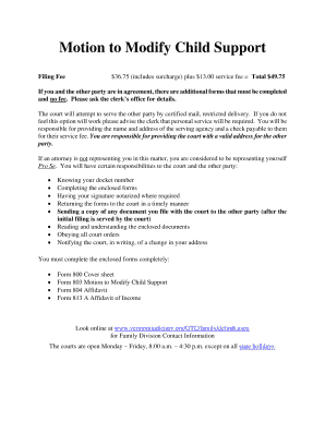 Motion to Modify Child Support