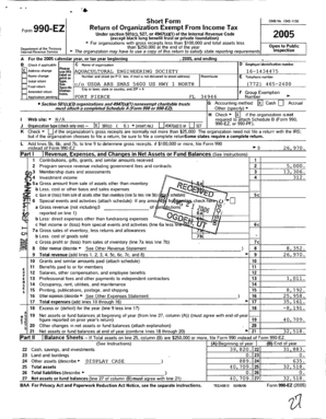 Form 990-EZ 2005
