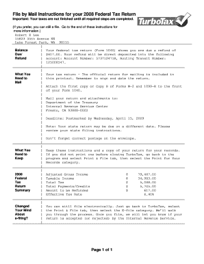 2008 US Federal Tax Return Form 1040