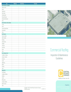 Commercial Roof Inspection Form