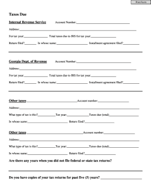 Taxes and Debt Information Form