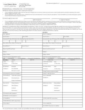 Personal Financial Statement Form