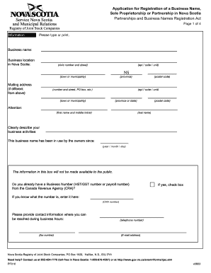 Form preview picture