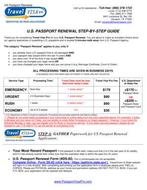 US Passport Renewal Form DS-82