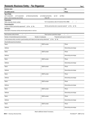 Domestic Business Entity Tax Organizer