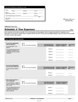 US Bankruptcy Court Schedule J Form