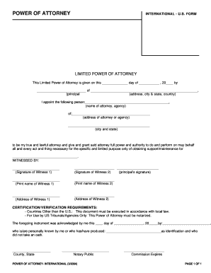 Limited Power of Attorney International US Form