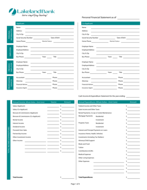 Personal Financial Statement Form
