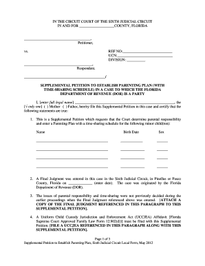 Supplemental Petition to Establish Parenting Plan