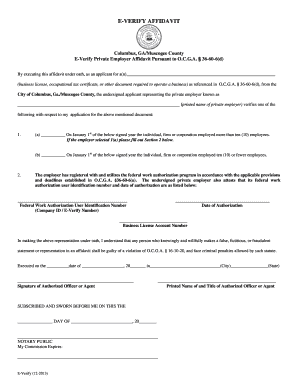 E-Verify Private Employer Affidavit