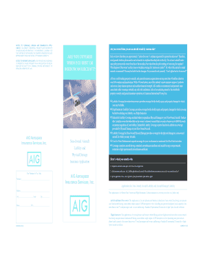 AIG Non-Owned Aircraft Insurance Application