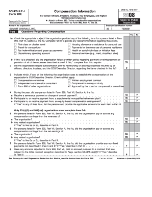 Schedule J Form 990 Compensation Information