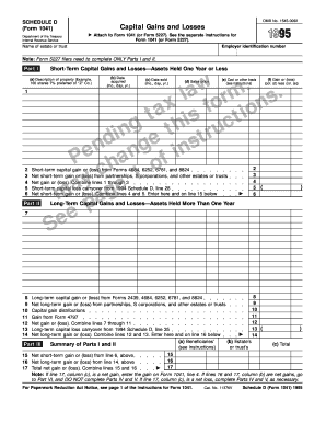 Schedule D Form 1041 Capital Gains and Losses