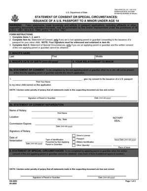 US Passport Consent Form for Minors