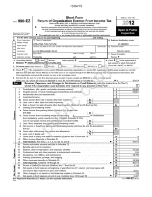 Form 990-EZ 2012