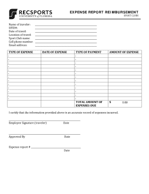 Travel Expense Report