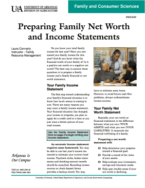 Family Net Worth and Income Statement