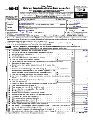 Form 990-EZ Tax Return