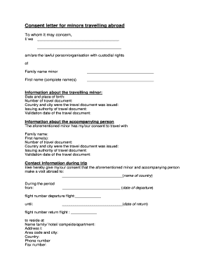 Minor Travel Consent Letter