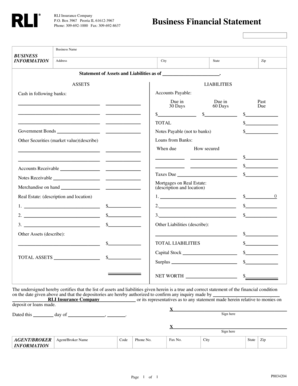 Business Financial Statement