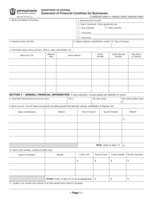 Pennsylvania Business Financial Statement Form REV-484