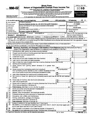 Form 990-EZ Tax Return