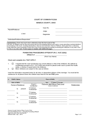 Ohio Parenting Proceeding Affidavit