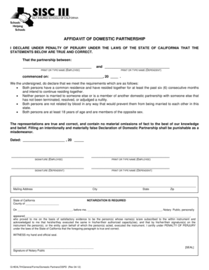 Affidavit of Domestic Partnership