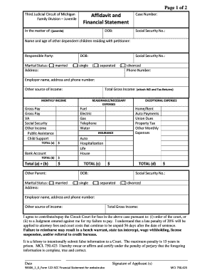 Michigan Juvenile Affidavit and Financial Statement